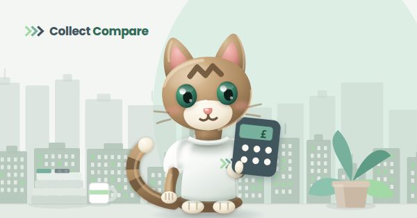 Tally the Tabby holding a calculator