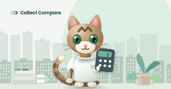 Tally the Tabby holding a calculator