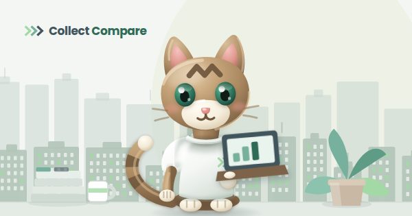 Tally the Tabby comparing agencies on a laptop