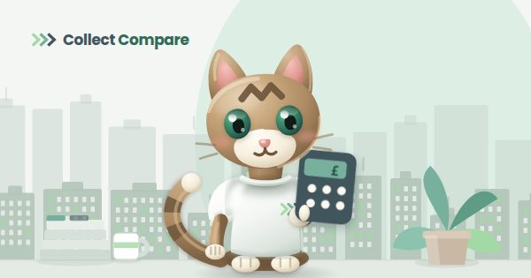 Tally the Tabby holding a calculator