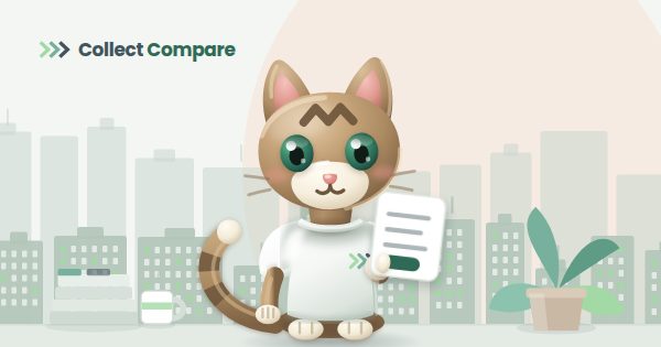 Tally the Tabby holding an unpaid invoice