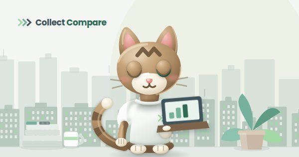 Tally the Tabby comparing agencies on a laptop