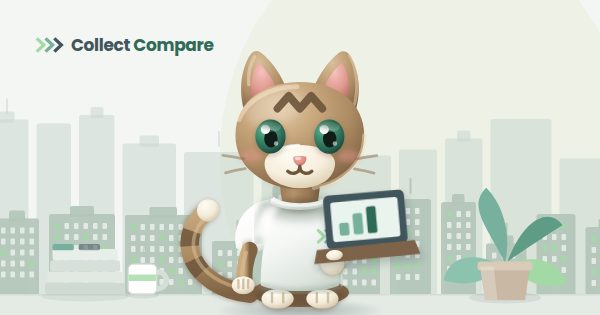 Tally the Tabby comparing agencies on a laptop