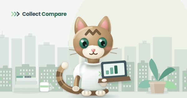 Tally the Tabby comparing agencies on a laptop