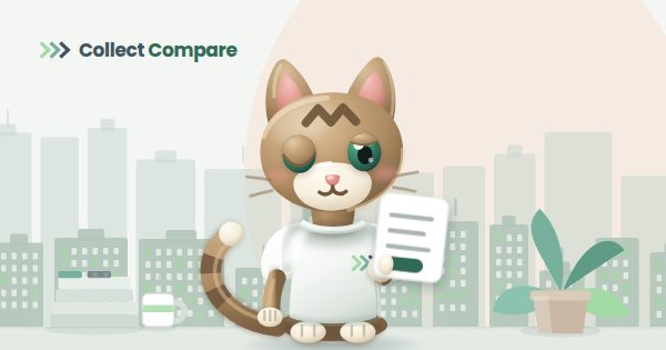 Tally the Tabby holding an unpaid invoice