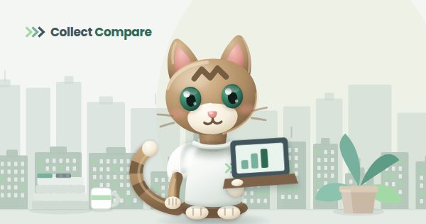Tally the Tabby comparing agencies on a laptop
